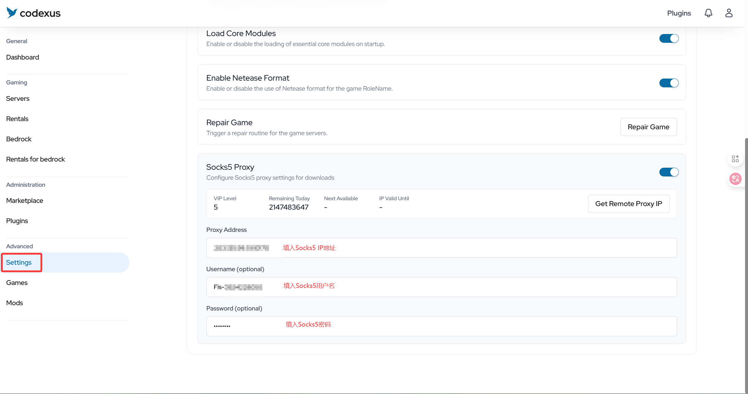 Codexus 设置界面